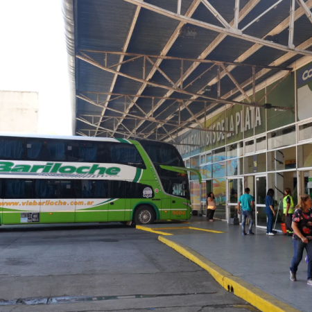 El Gobierno elimina el pago a empresas por pasajes gratuitos para personas con discapacidad