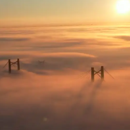 La niebla afecta a gran parte de Buenos Aires: cortaron Zárate-Brazo Largo y hay vuelos demorados