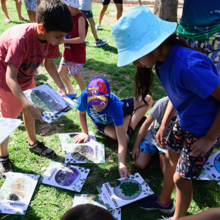 Avanza en el Senado bonaerense un proyecto para llevar educación ambiental a las escuelas