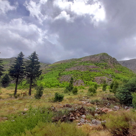 Tandil, Villa Ventana y Azul: destinos ideales para disfrutar las vacaciones de invierno