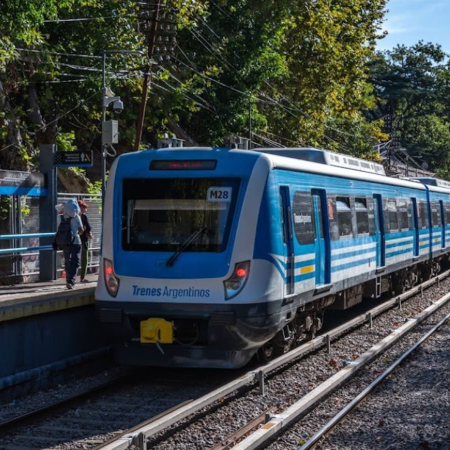 El Gobierno canceló obras clave para la modernización del Tren Mitre