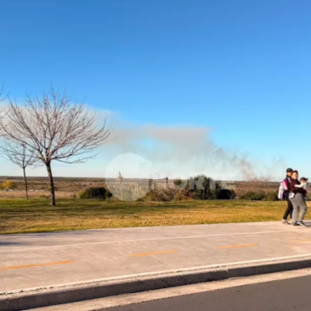 Incendios en el Delta del Paraná volvieron a generar preocupación frente a San Nicolás
