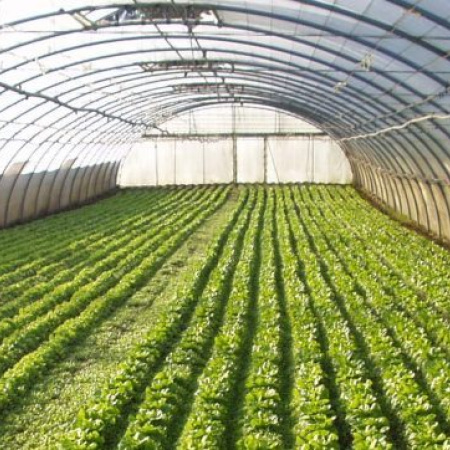 La Provincia vuelve a censar a los productores hortiflorícolas después de 20 años