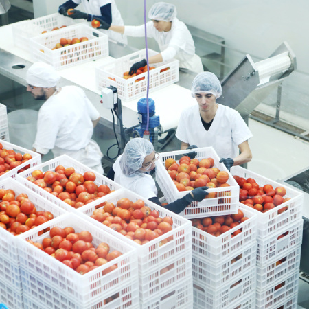 La UNLP y la Provincia avanzan con un acuerdo para producir alimentos sociales