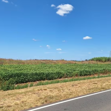 Buscan habilitar la siembra en 50.000 hectáreas al costado de rutas nacionales