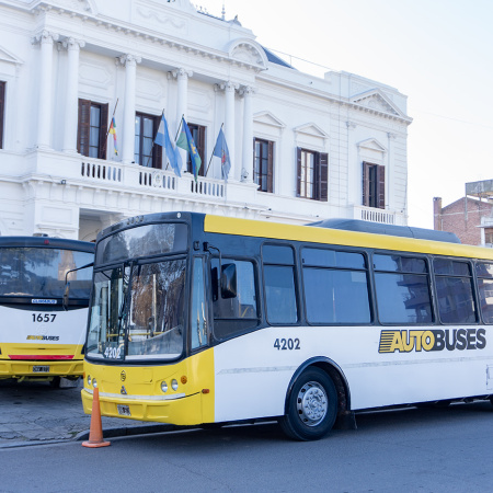 Azul suma colectivos adaptados y una app que permite identificar las unidades accesibles
