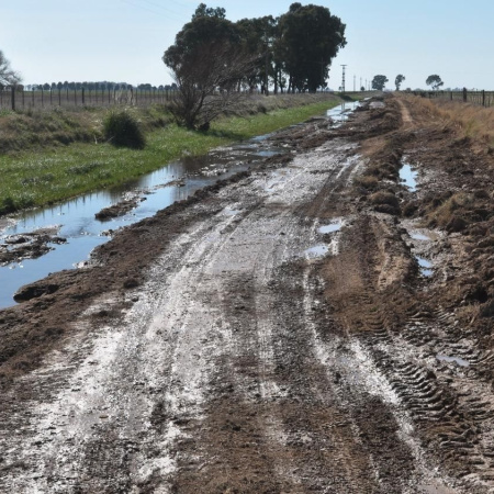 El 79% de los productores bonaerenses calificó de malos los caminos rurales