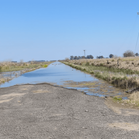 Declararon la emergencia agropecuaria por inundaciones en 9 de Julio y Necochea