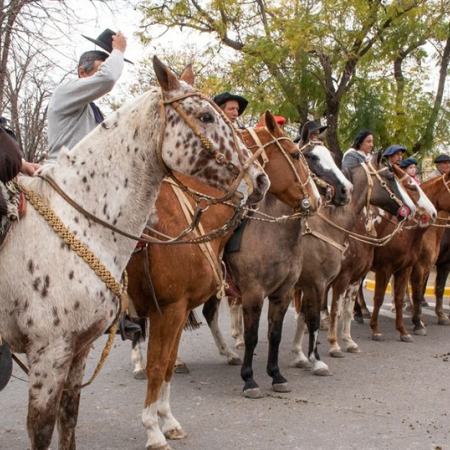 Salame, buñuelos y caballos criollos: la agenda del fin de semana en la Provincia
