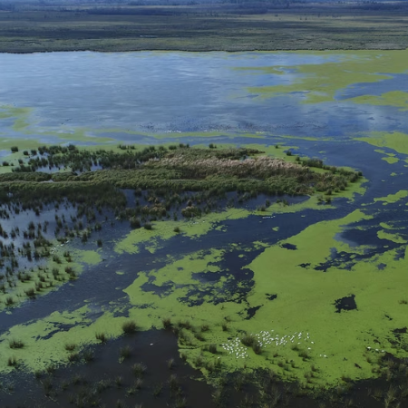 La Provincia creó un registro para ordenar el uso de las tierras en las islas