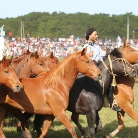 La Fiesta del Talar vuelve a Madariaga con una semana de jineteadas y peñas