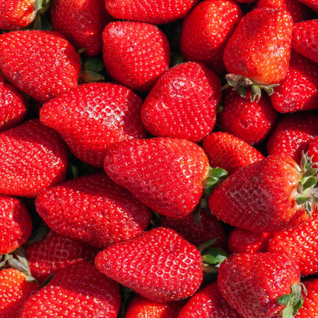 Asado, frutillas, pato y Bersuit: 30 planes para no quedarse en casa este fin de semana