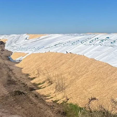 Vandalismo rural: Diputados aprobó penas de hasta 10 años y CARBAP celebró la votación
