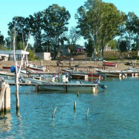 Villarino sembrará otros 100 mil alevinos de pejerrey para recuperar la laguna Chasicó
