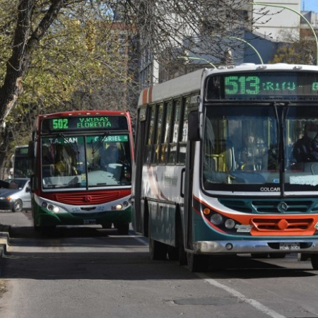 Los colectivos de Bahía Blanca deberán contar con botones antipánico por ordenanza
