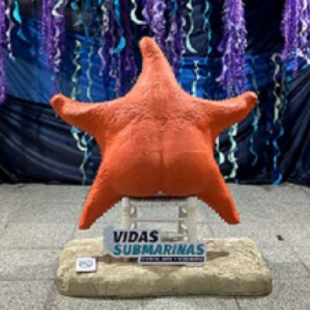 La muestra "Vidas submarinas" inicia una gira por cinco municipios de la Provincia
